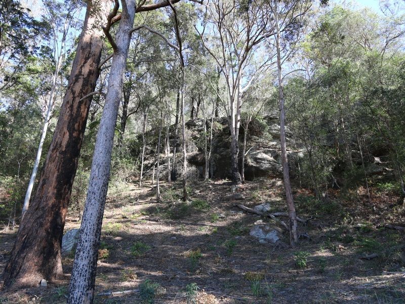 15-21 Clarence Street, Ilarwill NSW 2463