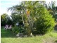 1078x Yamba Road, Palmers Island NSW 2463