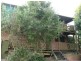 36 Clarence Street, Maclean NSW 2463