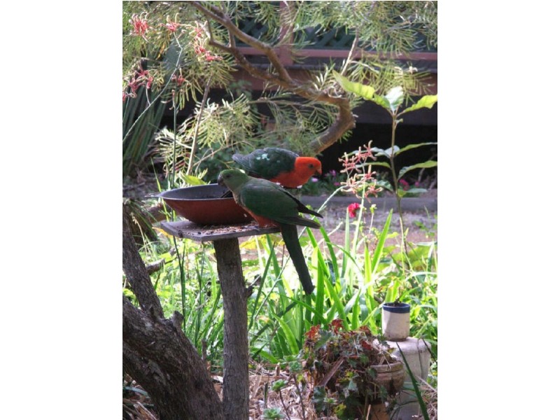 Gulmarrad NSW 2463