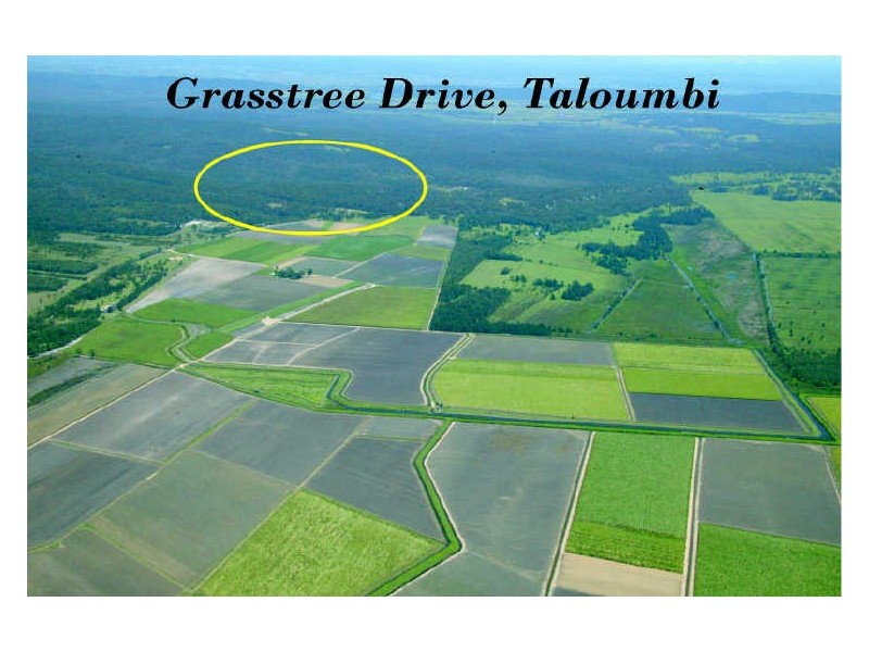 Lot 27 Grasstree Drive, Taloumbi NSW 2463