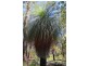 Lot 27 Grasstree Drive, Taloumbi NSW 2463