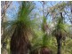 Lot 27 Grasstree Drive, Taloumbi NSW 2463