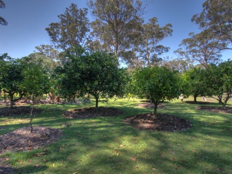 8 Cedar Drive, Gulmarrad NSW 2463
