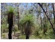 Taloumbi NSW 2463