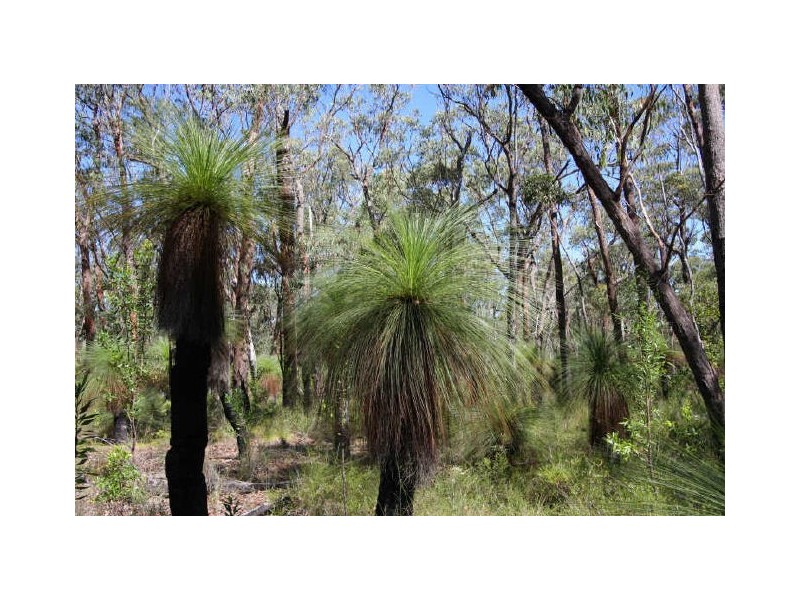 Taloumbi NSW 2463