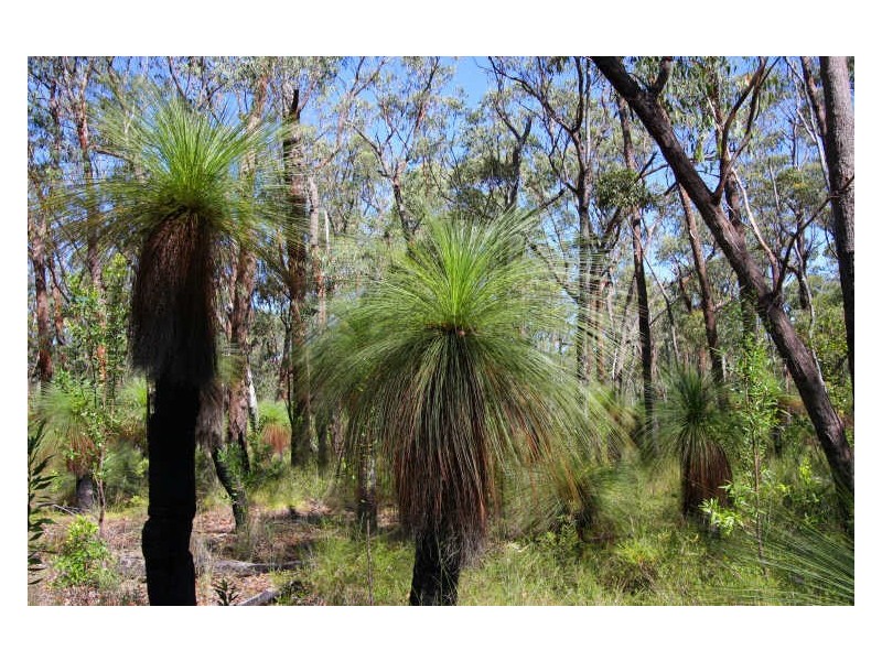 Lot 27x Grasstree Drive, Taloumbi NSW 2463