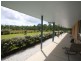 10C Clyde Essex Drive, Gulmarrad NSW 2463