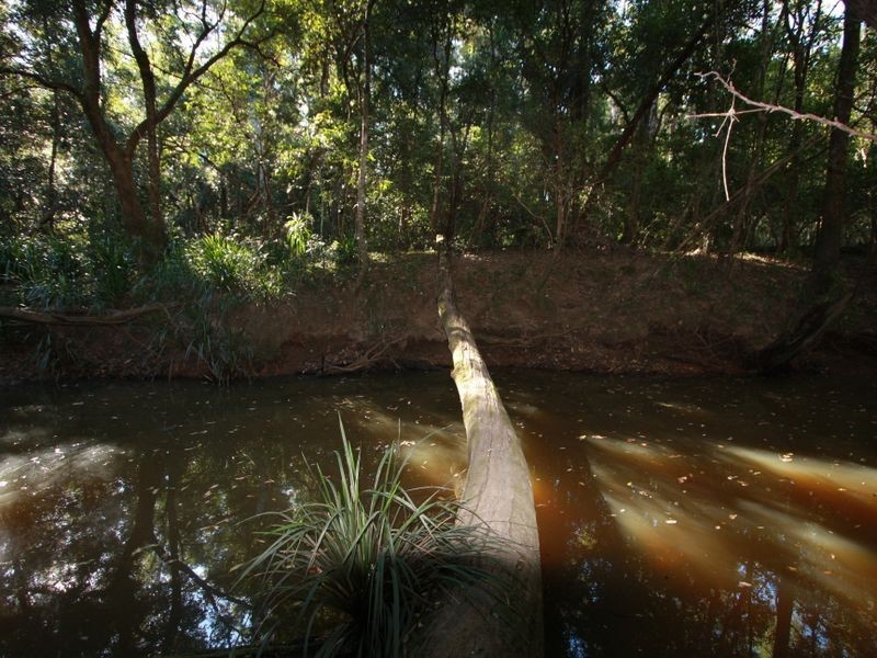 340 Jackybulbin Road, Tullymorgan NSW 2463