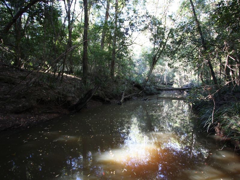 340 Jackybulbin Road, Tullymorgan NSW 2463