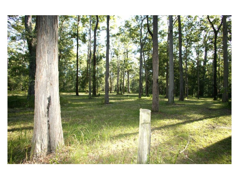 340 Jackybulbin Road, Tullymorgan NSW 2463