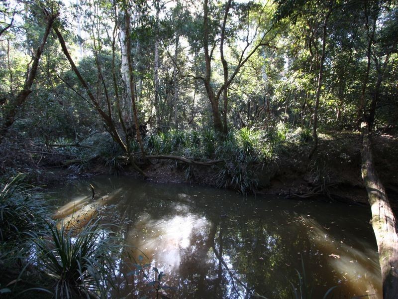 340 Jackybulbin Road, Tullymorgan NSW 2463