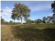 857 Tucabia Road Tucabia via, Grafton NSW 2460