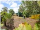 857 Tucabia Road Tucabia via, Grafton NSW 2460