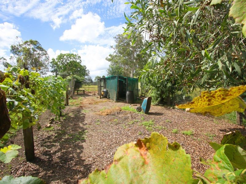 857 Tucabia Road Tucabia via, Grafton NSW 2460