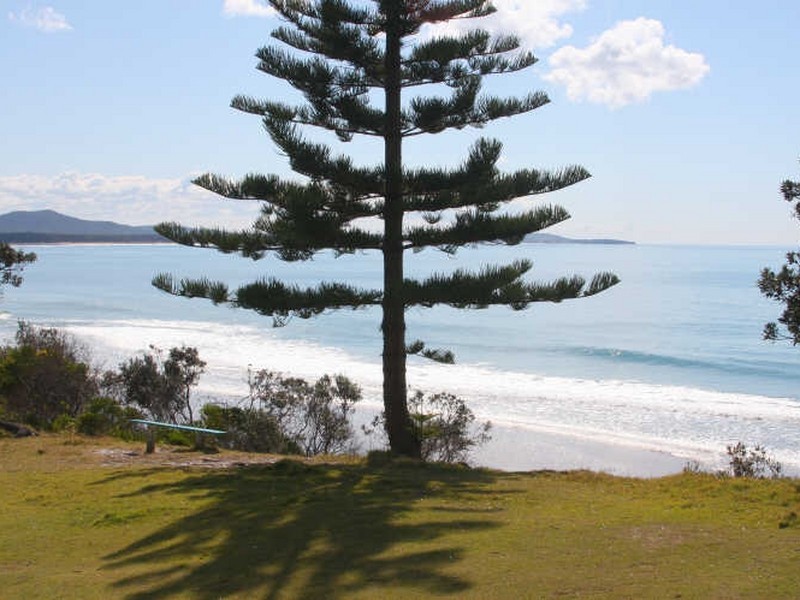 39 Ocean Road, Brooms Head NSW 2463