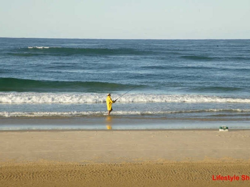 39 Ocean Road, Brooms Head NSW 2463