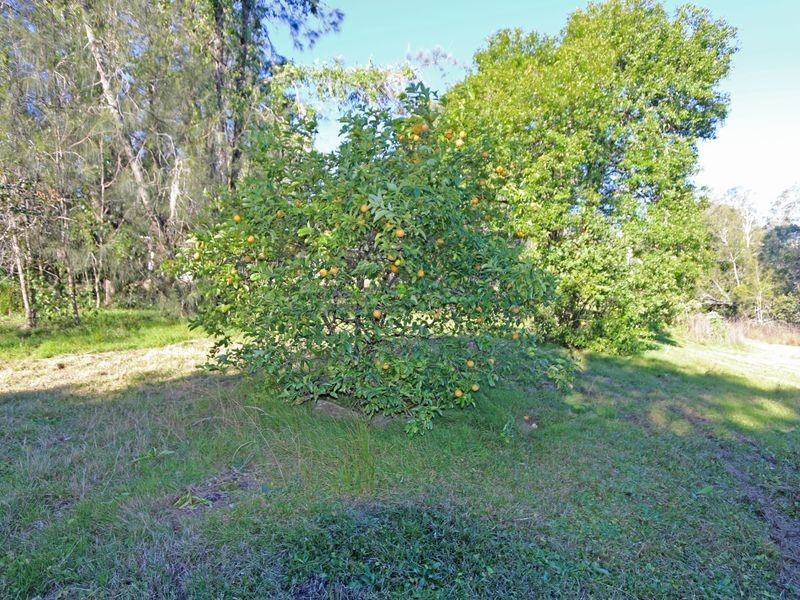 Lot 88 Shark Creek Road, Shark Creek NSW 2463