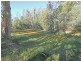 Lot 88 Shark Creek Road, Shark Creek NSW 2463