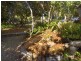 2 Azalea Street, Brooms Head NSW 2463