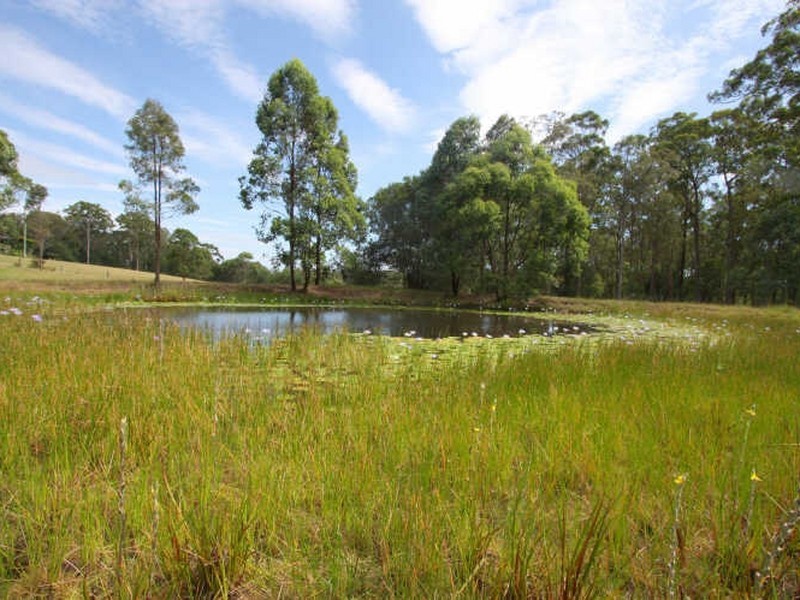 272 James Creek Road, Maclean NSW 2463