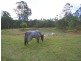 48 Towers Road, Lawrence NSW 2460