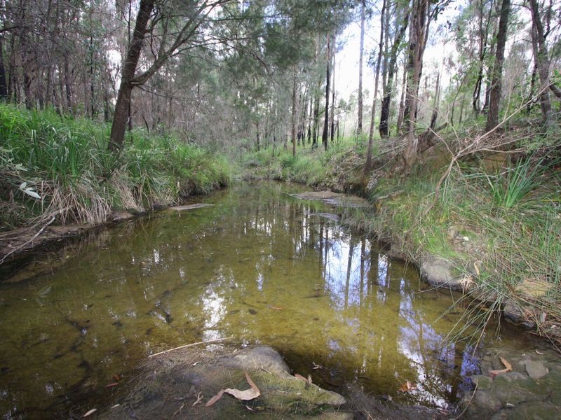 48 Towers Road, Lawrence NSW 2460