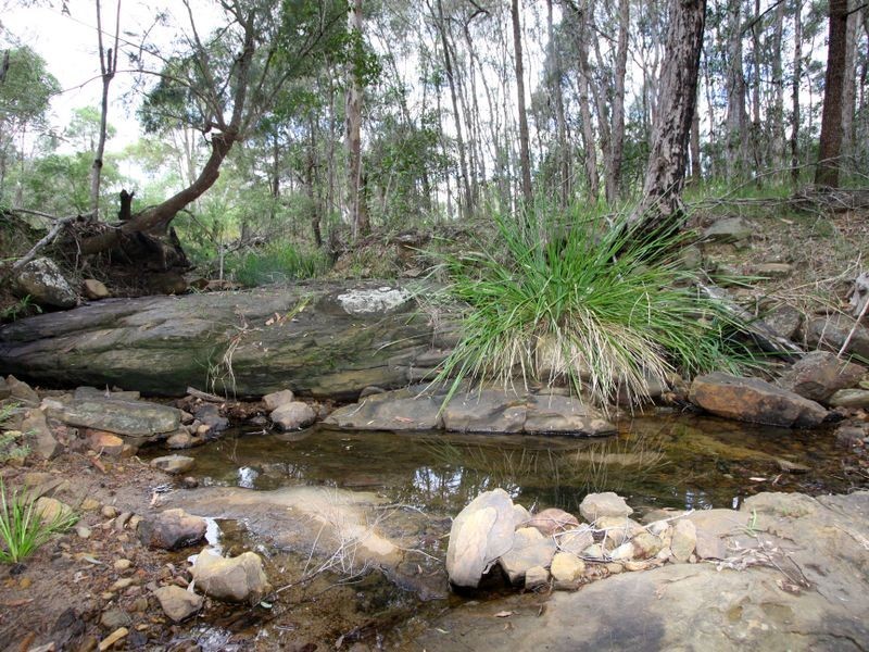 48 Towers Road, Lawrence NSW 2460