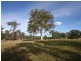 857 Tucabia Road, Tucabia NSW 2462