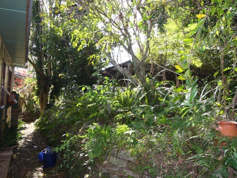 5 Woodford Street, Maclean NSW 2463