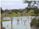 Lot 4 Mantons Lane, Lawrence NSW 2460
