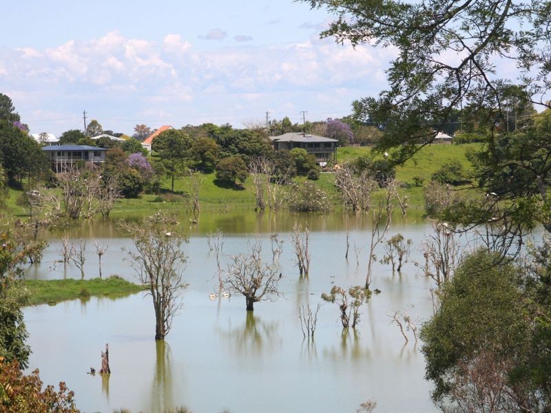 Lot 4 Mantons Lane, Lawrence NSW 2460