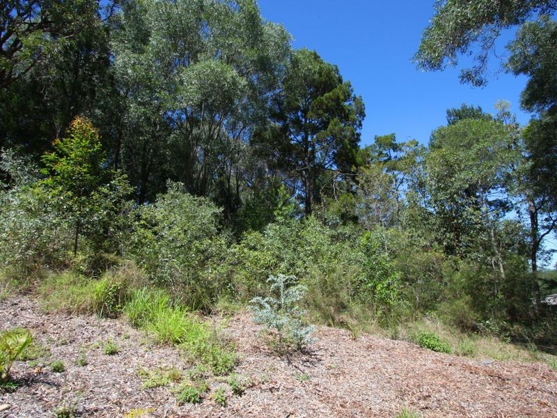 6 Glenbrook Court, Maclean NSW 2463