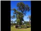 24 Boundary Road, Gulmarrad NSW 2463
