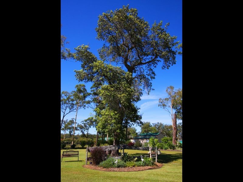 24 Boundary Road, Gulmarrad NSW 2463