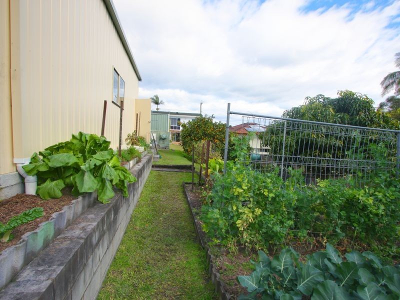 41 Taloumbi Street, Maclean NSW 2463