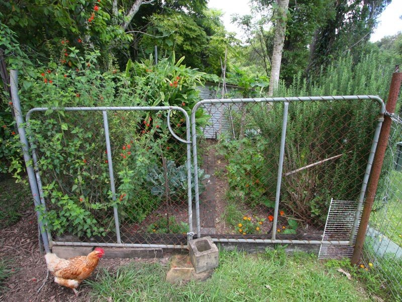 14 Islay Street, Maclean NSW 2463