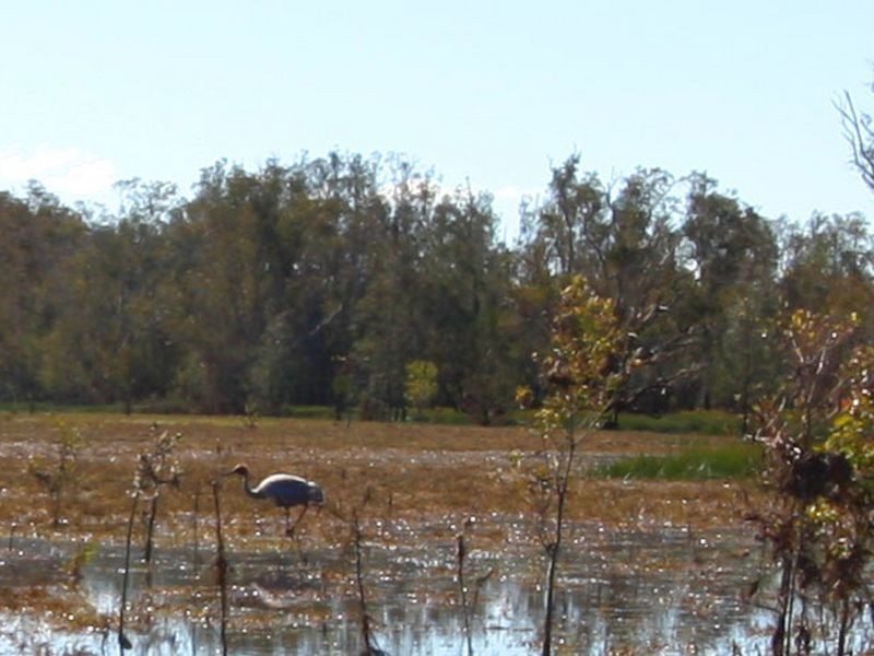Lot 2 off Shark Creek Road Shark Creek Via, Maclean NSW 2463
