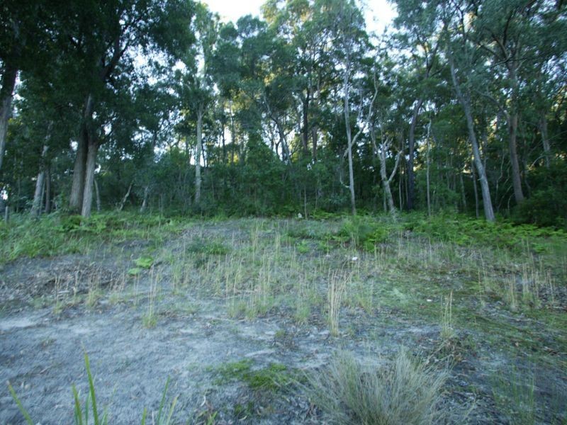 11 A Kerry Street, Maclean NSW 2463