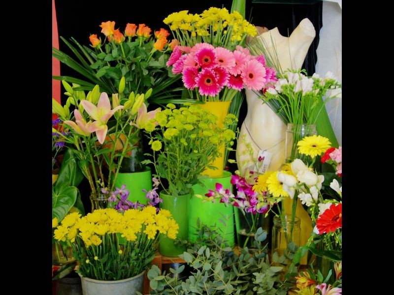 4-23x Coldstream Street, Yamba NSW 2464