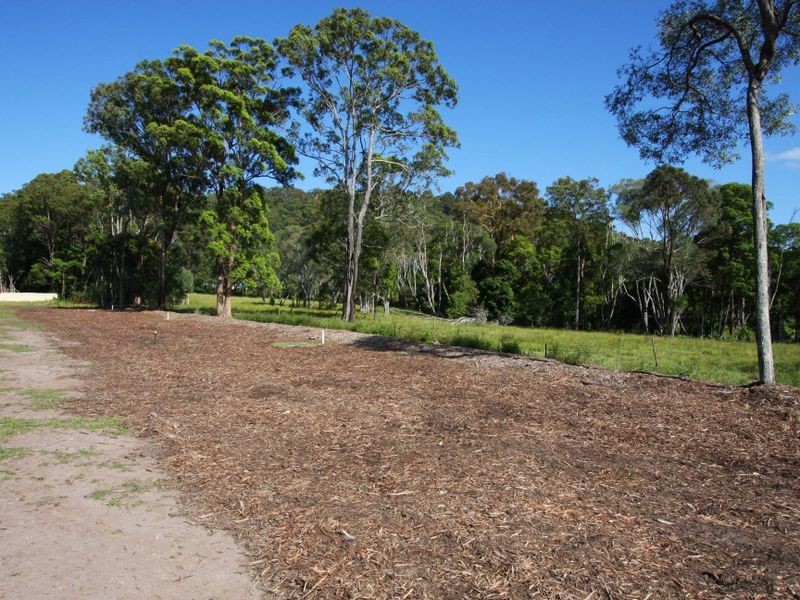 Lot 64 Scullin Street, Townsend NSW 2463
