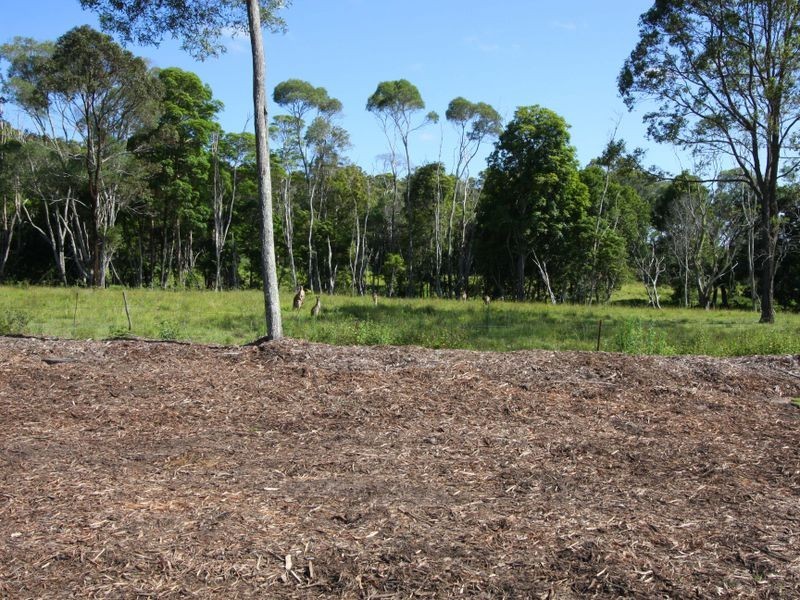 Lot 64 Scullin Street, Townsend NSW 2463