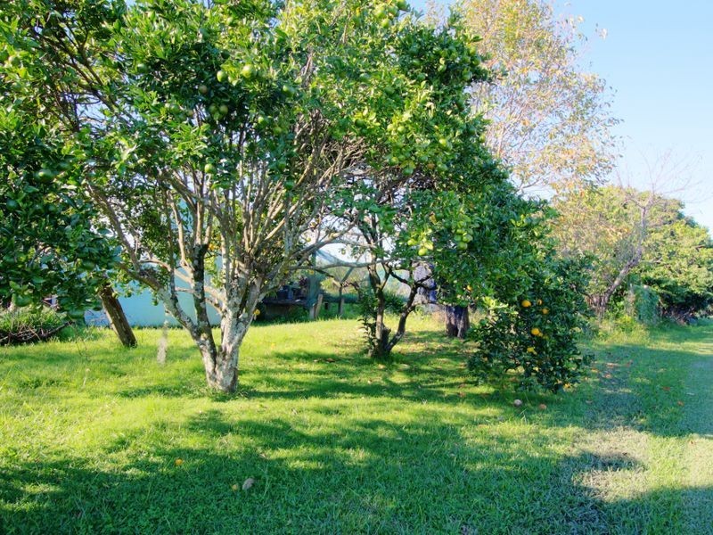 17 Middle Road, Palmers Island NSW 2463