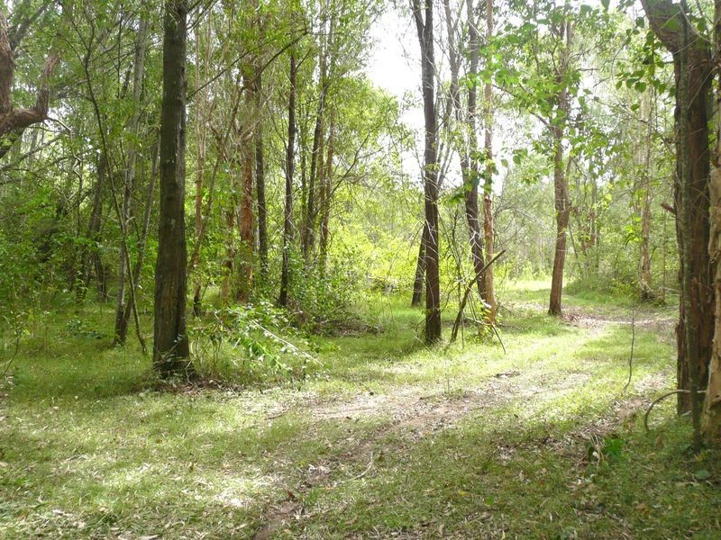 Lot 2 Pacific Highway, Tyndale NSW 2460