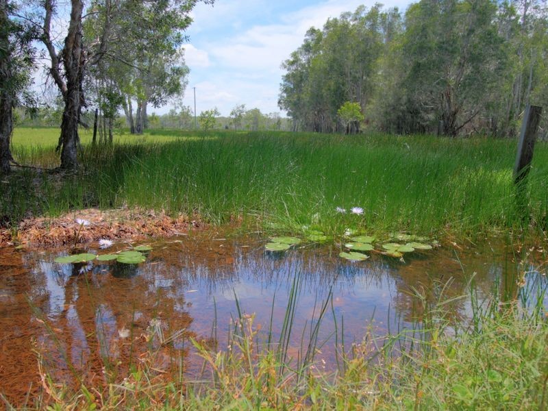 329x Shark Creek Road, Shark Creek NSW 2463