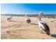 128 Ocean Road, Brooms Head NSW 2463