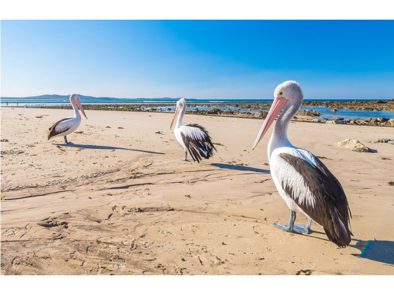 128 Ocean Road, Brooms Head NSW 2463