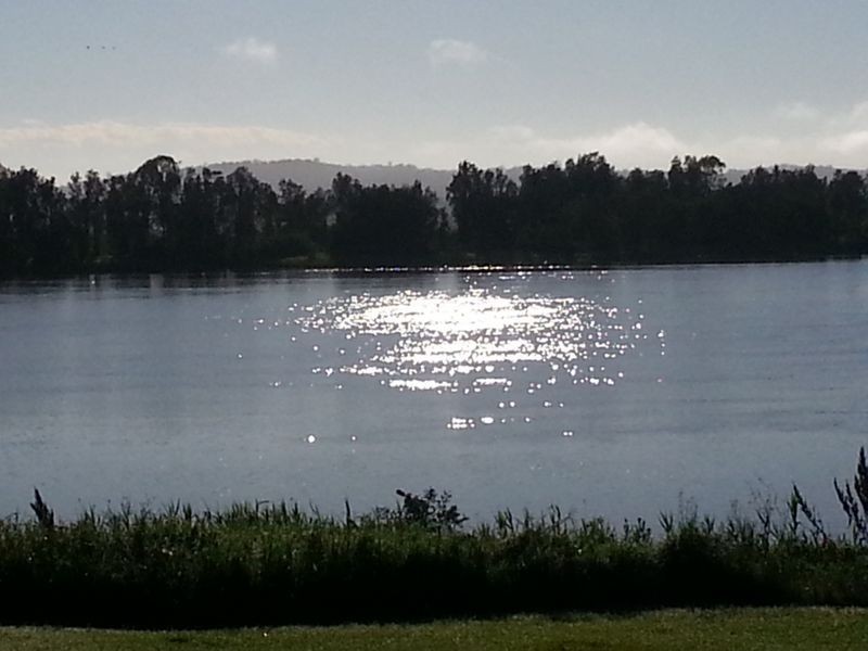 29 Bridge Street, Lawrence NSW 2460