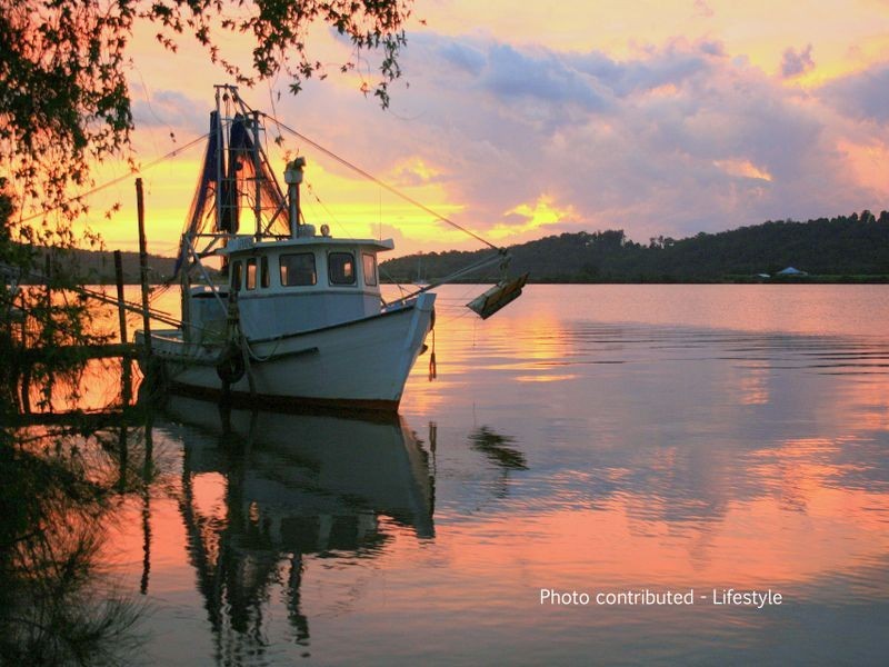 22 McPhee Street, Maclean NSW 2463