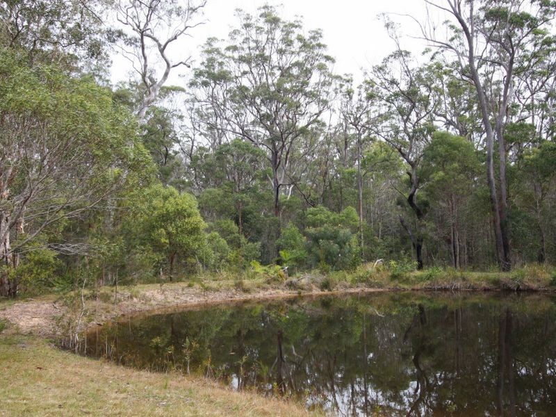 Lot 1334 Shark Creek Road, Shark Creek NSW 2463